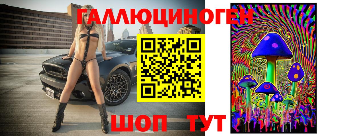 Бошки Шишки Кохма