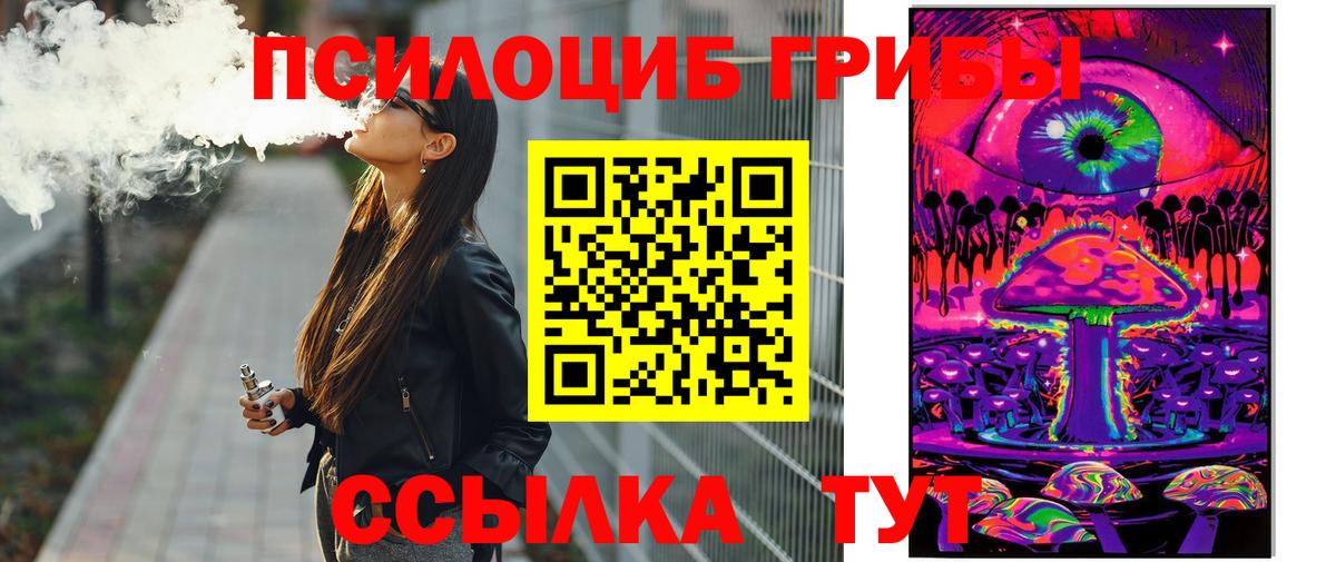 Галлюциногенные грибы Cubensis Кохма