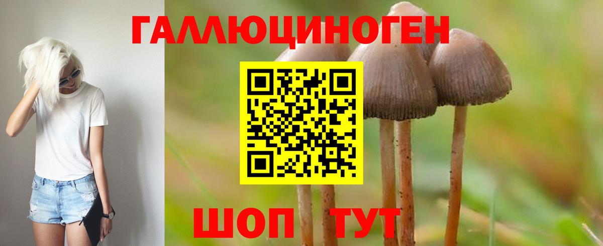 Кохма  Галлюциногенные грибы MAGIC MUSHROOMS  Вход с VPN  Псилоцибиновые грибы ЛСД 